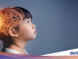 Ternyata Begini Cara Otak Mengingat Sebuah Tempat