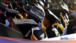 Hanya Di 13% Penduduk Bekerja yang Berpendidikan Tinggi