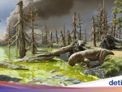 Asteroid Buat Dinosaurus Punah Tapi Struktur Ekologi Laut Bisa Bertahan, Kok Bisa?