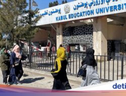 Taliban Larang 18 Mata Kuliah Diajarkan Di Seluruh Kampus Afghanistan