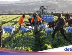 WHV Australia 2025 Resmi Dibuka, Gen-Z yang Ingin Kerja Di Aussie Cek Nih!