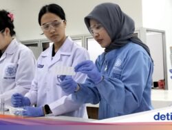 Potret Eka dan Penelitiannya, Dosen UGM Penyandang World's Top 2% Scientist
