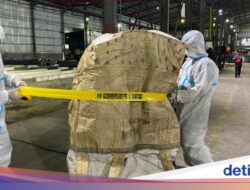 Paparan Radiasi Ke Cikande Bisa Capai 875 Ribu Kali Batas Aman, Harusnya Berapa?