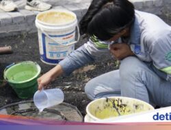 ITS Bikin Paving Porous Ramah Lingkungan buat Solusi Genangan Air, Seperti Apa?