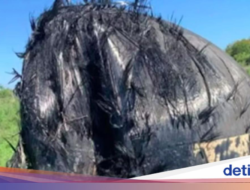 Ada Benda ‘Berbulu’ Misterius Jatuh Di Bangsa Ini, Bersama Luar Angkasa?