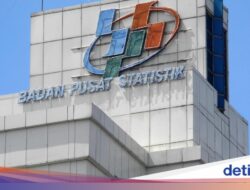 BPS Berencana Rekrut 190 Ribu Petugas Sensus Ekonomi Awal 2026, Mahasiswa-Dosen Bisa Ikut!