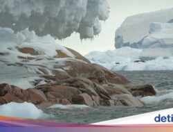 Gletser Hektoria Di Antartika Cair, Karena Itu Penyusutan Tercepat Sepanjang Sejarah