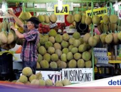 Asal Usul Durian dan Pahatannya Di Borobudur, Diusulkan Dari Sebab Itu Buah Nasional Malaysia