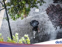 Mengapa Kita Rentan Flu Di Musim Hujan? Ini Penjelasan Sains