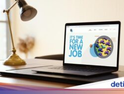 5 Cara Menemukan Pekerjaan Ideal Untuk Fresh Graduate, Sudah Dicoba?