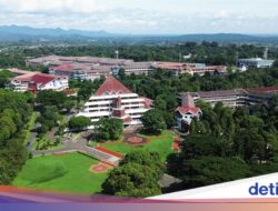 20 Kampus Terbaik RI Untuk Kajian Ilmu Interdisipliner Versi THE 2026, IPB Nomor 1!