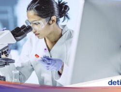 Jumlah Perempuan Pekerja Bidang STEM Turun Drastis, Apa Penyebabnya?