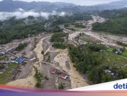 Geologi Labil, Siklon yang Aneh, Hutan Hilang