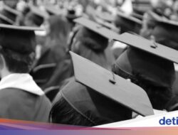 45.000 Lulusan S1 Putus Asa Cari Kerja