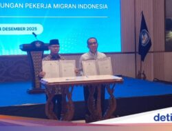 Kemdiktisaintek Akansegera Bantu Mahasiswa Dapat Kerja Ke LN, Ada 350 Ribu Loker