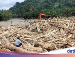 Kayu-kayu Ke Bencana Alam Sumatera Terindikasi Ulah Manusia
