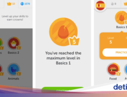 Kampus-kampus Selandia Mutakhir Mulai Pakai Duolingo buat Syarat Mahasiswa Foreign