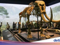 Harga Tiket Museum Nasional Naik, 14 Museum Jakarta Ini Gratis-Di Bawah Rp 10 Ribu