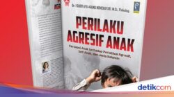 Literasi Perilaku Anak Agresif Bersama Sudut Pandang Psikologis