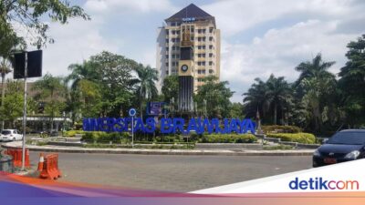 10 Daya Tampung Terbanyak UB Ke SNBP 2026, Jurusan Apa Saja?