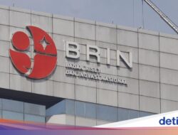 BRIN Danai 130 Proyek Kajian Kolaborasi Dunia Bernilai Rp 190 M, Libatkan Kampus