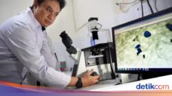 Kecemasan Peneliti UB Usai Temukan Mikroplastik Hingga DAS Brantas, Desak Mitigasi