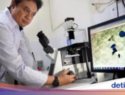 Kecemasan Peneliti UB Usai Temukan Mikroplastik Hingga DAS Brantas, Desak Mitigasi