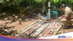 Suara Sunyi Di NTT: Sirene Kegagalan Pembelajaran Kita