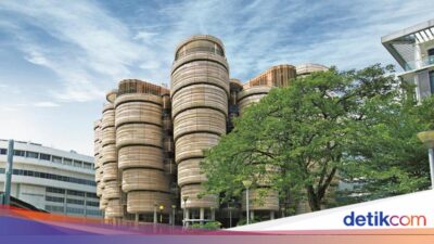 Kampus Top Tetangga RI Buka Jurusan Soal Kematian dan Duka Cita, Belajar Hal Ini