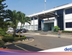 Paragon Buka Inisiatif Management Trainee Sebagai Fresh Graduate S1-S2, Cek Syaratnya!