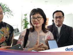 Viral Awardee LPDP Bangga Anak WNA, Wamen Stella Singgung Masalah Karakter