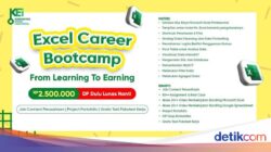 Mau Switch Career Karena Itu Data Analyst? Upgrade Skill Excel Ke Workshop Online Ini!