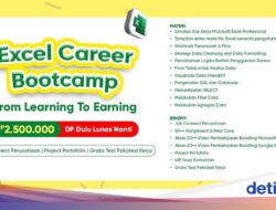Mau Switch Career Karena Itu Data Analyst? Upgrade Skill Excel Ke Workshop Online Ini!