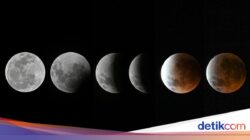 Planetarium Jakarta Buka Sesi Pengamatan Gerhana Bulan Total, Ngabuburit Cari Ilmu!