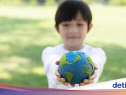 Tak Terduga! Makhluk Laut Ini Bisa Di Sebab Itu Penguasa Bumi Jika Manusia Punah
