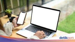 Ada Lowongan Magang BUMN Ke Perusahaan Perfilman Bangsa, Jurusan Ini Bisa Daftar