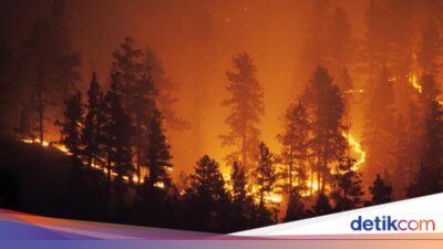 Peneliti IPB Kembangkan Sistem Sebagai Membantu Prediksi Bencana Alam