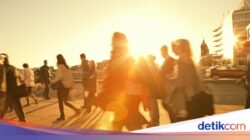 Alarm Bahaya! Suhu Bumi Naik, Kekeringan hingga Gagal Panen Mengintai