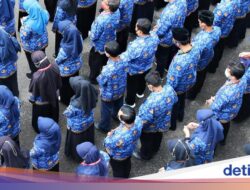 Kabar Baik, MenPAN-RB Beri Sinyal Ada Rekrutmen CPNS 2026!