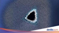 Ilmuwan Temukan 24 Spesies Mutakhir Di Samudra Pasifik