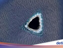 Ilmuwan Temukan 24 Spesies Mutakhir Di Samudra Pasifik