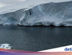 Es Laut Antarktika Mulai Pulih Ke 2026, Ini Penjelasan Ilmuwan