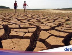 Kemdiktisaintek Ungkap 3 Skema Hilirisasi Studi, Gandeng Industri