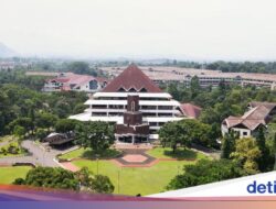 IPB Telusuri Dugaan Pelecehan Seksual Mahasiswa, BEM Tekankan Hukuman Politik Akademik