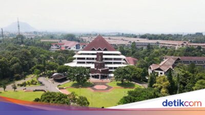 IPB Telusuri Dugaan Pelecehan Seksual Mahasiswa, BEM Tekankan Hukuman Politik Akademik