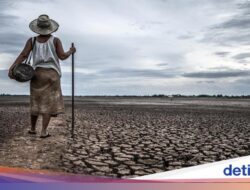 4 Langkah Mitigasi Hadapi Godzila El Nino Menurut Pakar Unair, Ayo Bersiap!