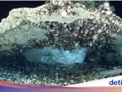 BRIN Ungkap RI Punya Potensi Metana Hidrat Melimpah 800 TSCF, Alternatif Energi Fosil