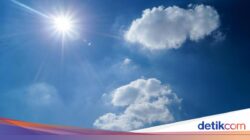 Kemarau Tetap Datang Tiap Tahun, El Nino Belum Tentu Ikut