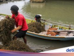 38 Eksperimen RI-Australia Tawarkan Solusi Krisis Lingkungan yang Ancam Warga-Negeri