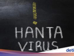 Sejarah Hantavirus, Sudah Ada Hingga RI Sebelum 1980-an!